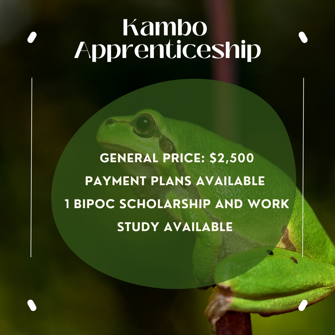 Kambô Apprenticeship