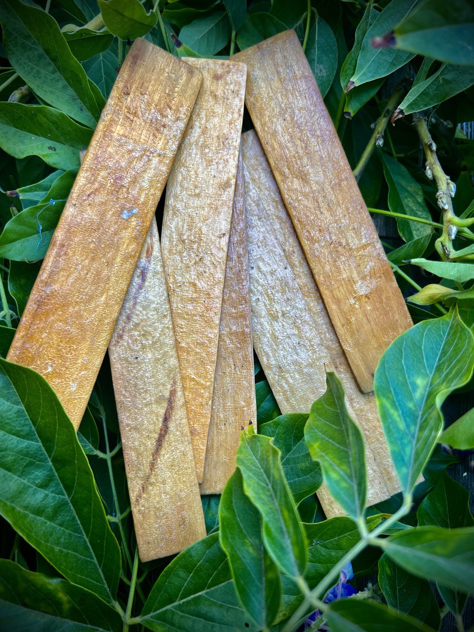 Bulk Kambô