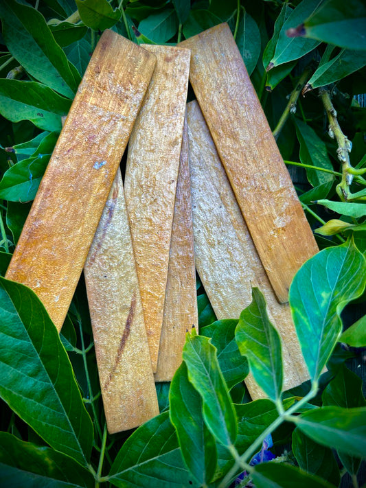 Bulk Kambô